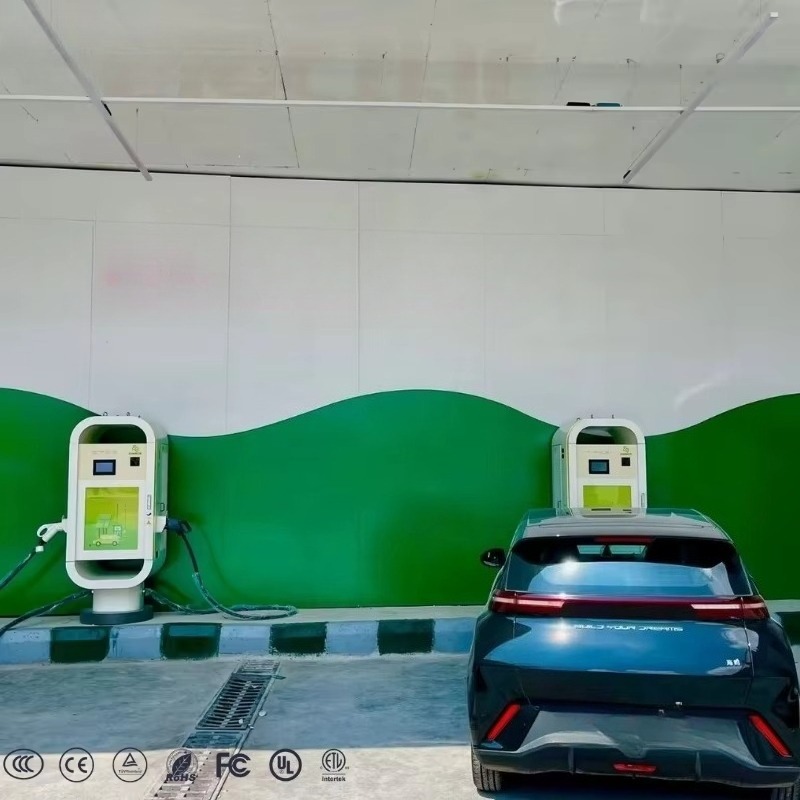 EU Standard EV Charger Fast Ch - đánh giá và giá Ev Charging Pile